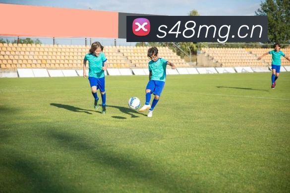 开云官网APP 封面图